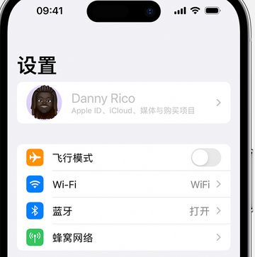 鄂州appleID维修服务iPhone设置中Apple ID显示为灰色无法使用