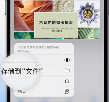 鄂州apple维修中心分享iPhone文件应用中存储和找到下载文件