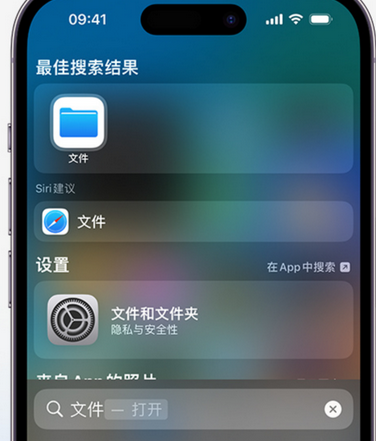 鄂州apple维修中心分享iPhone文件应用中存储和找到下载文件 