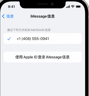 鄂州apple维修iPhone上无法正常发送iMessage信息 