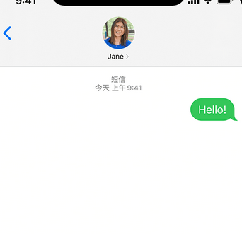 鄂州apple维修iPhone上无法正常发送iMessage信息