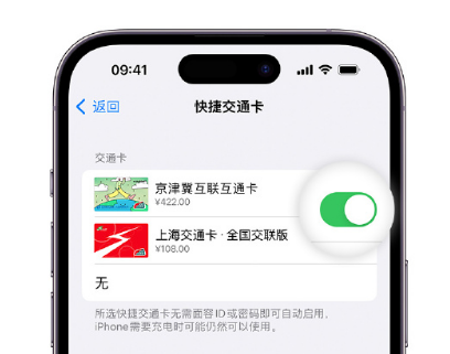 鄂州apple维修点分享iPhone上更换Apple Pay快捷交通卡手绘卡面 