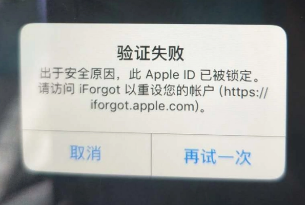 鄂州iPhone维修分享iPhone上正常登录或使用AppleID怎么办 