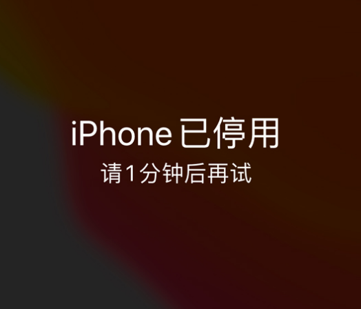 鄂州苹果手机维修分享:iPhone 显示“不可用”或“已停用”怎么办？还能保留数据吗？ 