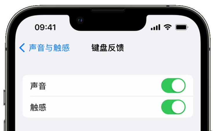 鄂州苹果手机维修分享iPhone 14触感键盘使用方法 