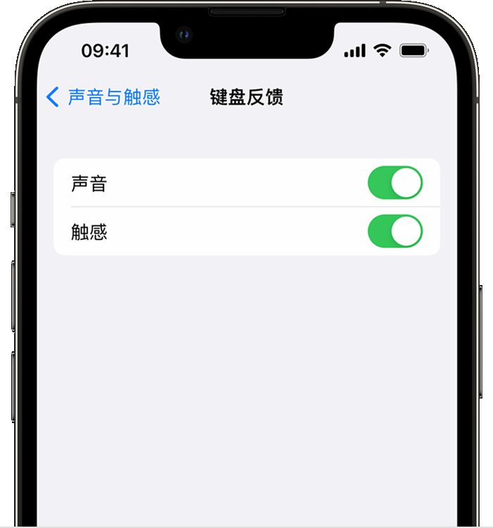 鄂州苹果14维修店分享如何在 iPhone 14 机型中使用触感键盘 