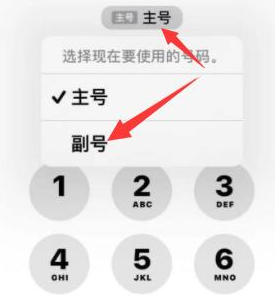 鄂州苹果14维修店分享iPhone 14 Pro Max使用副卡打电话的方法 