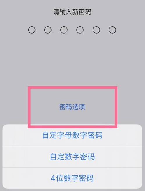 鄂州苹果14维修分享iPhone 14plus设置密码的方法 