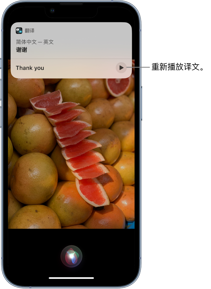 鄂州苹果14维修分享 iPhone 14 机型中使用 Siri：了解 Siri 能帮你做什么 