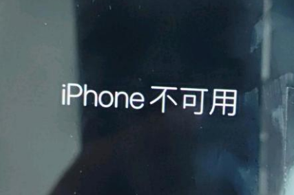 鄂州苹果服务网点分享锁屏界面显示“iPhone 不可用”如何解决 