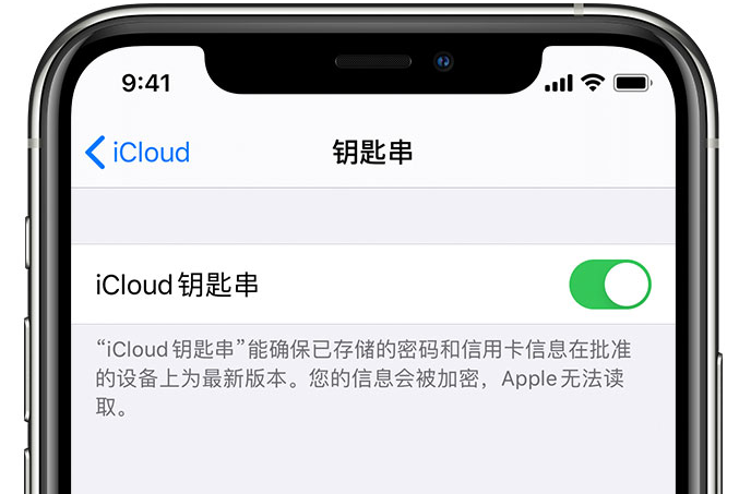 鄂州苹果手机维修分享在 iPhone 上开启 iCloud 钥匙串之后会储存哪些信息 