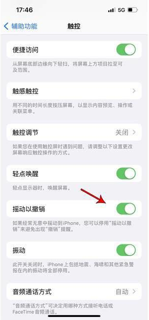 鄂州苹果手机维修分享iPhone手机如何设置摇一摇删除文字 