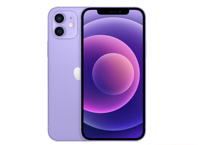 鄂州苹果手机维修分享现阶段要不要入手紫色版iPhone12 