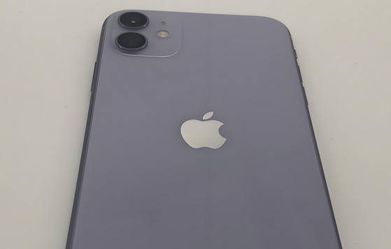 鄂州苹果11系统维修分享iPhone11手机系统崩溃无法开机如何解决 